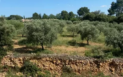 Draguignan, 7Min Flayosc