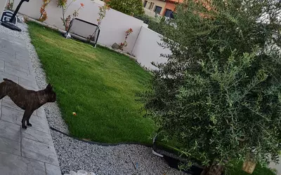 Ponteilla (66300)