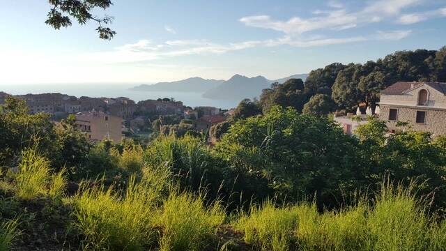 Piana (20115)