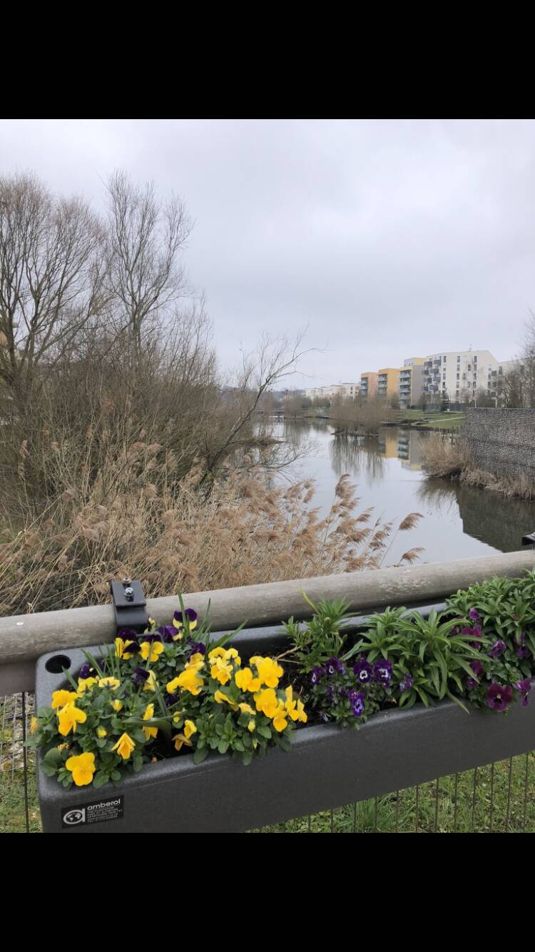Bois-D'arcy (78390)