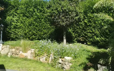 Saint-Thibault-Des-Vignes (77400)