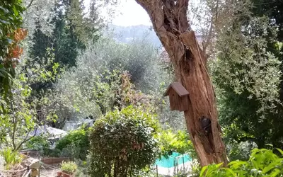 Grasse - Magagnosc-