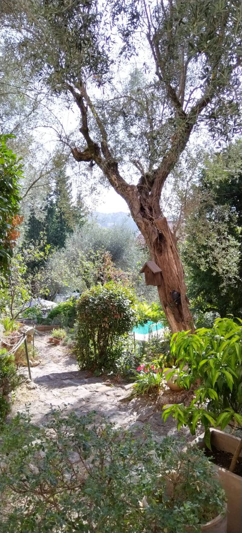 Grasse - Magagnosc-