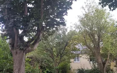 Montreuil (93100)