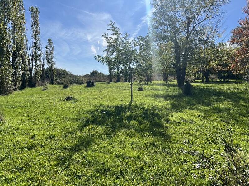 Bressols (82710)
