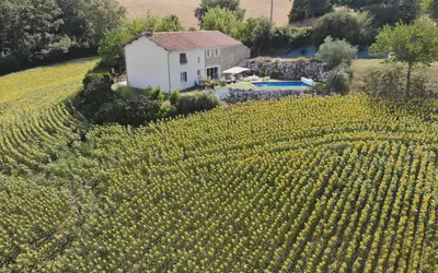 Lavaur (81500)