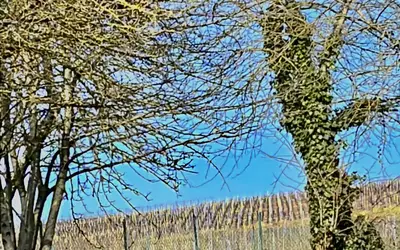 Saulchery (02310)
