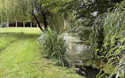 Saint-Privat-Des-Prés (24410)