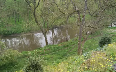 Vineuil (41350)