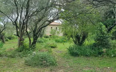 Saint-Vincent-De-Barbeyrargues (34730)