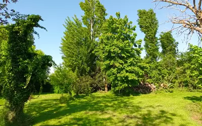 Septeuil