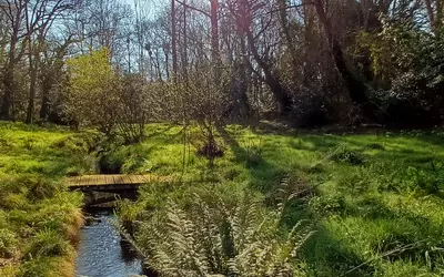 Moëlan-Sur-Mer (29350)