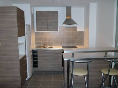 Location appartement 2 pièces Villeurbanne (69100)