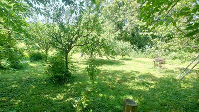 Vente appartement 5 pièces Niederbronn-les-Bains (67110)