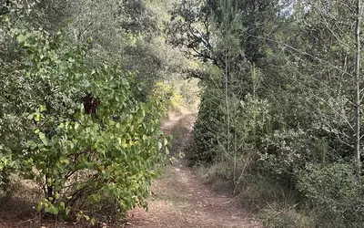 Aujargues (30250)