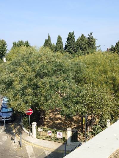 Vente maison 4 pièces Marseillan (34340)