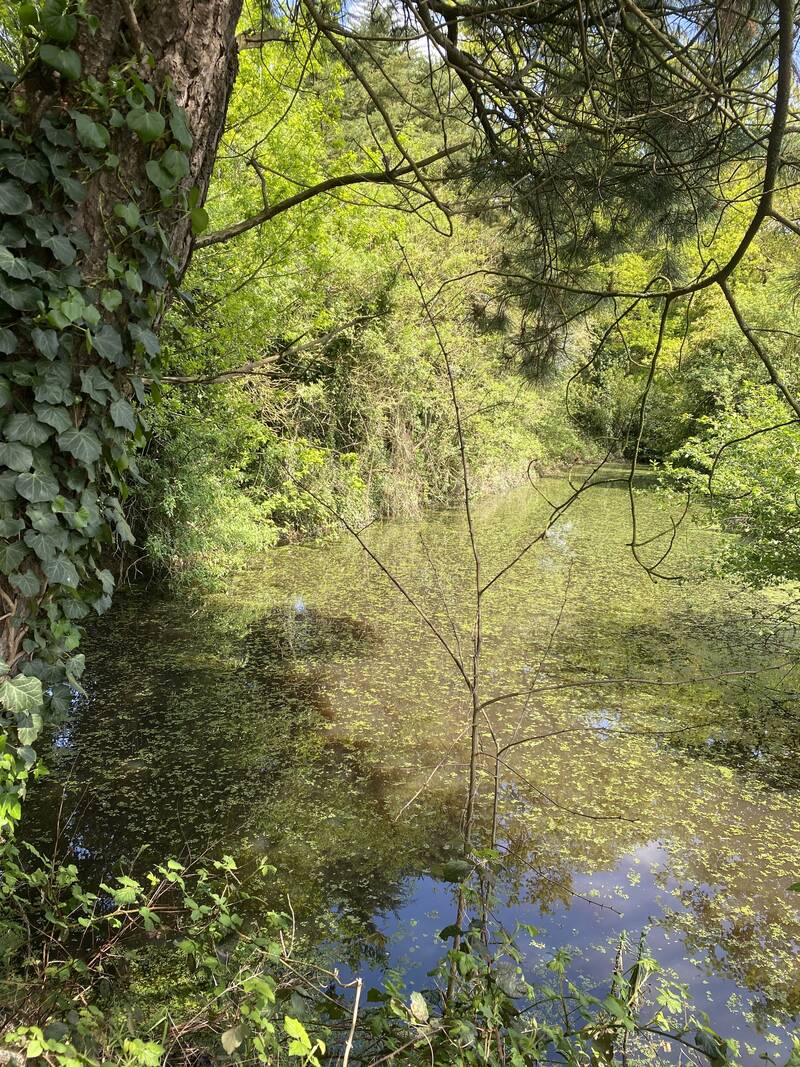 Quédillac (35290)