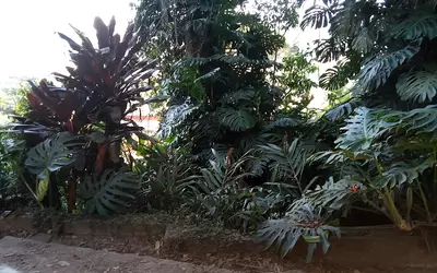 Brésil