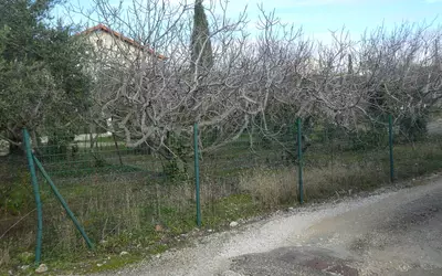 Caromb (84330)