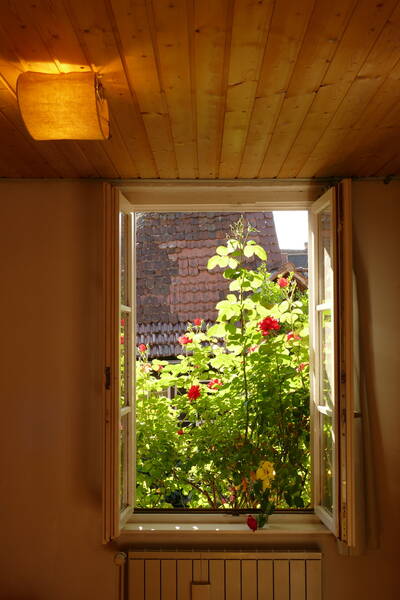 Vente maison 6 pièces Wissembourg (67160)