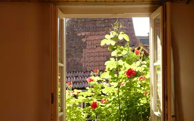 Wissembourg (67160)
