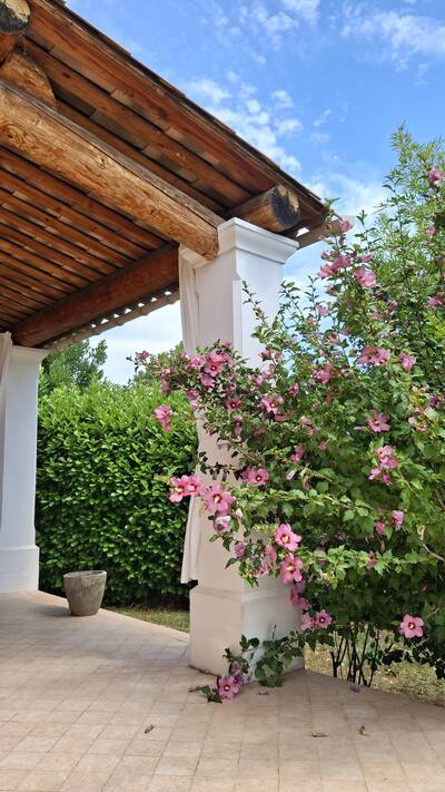 Vente maison 6 pièces Manosque (04100)