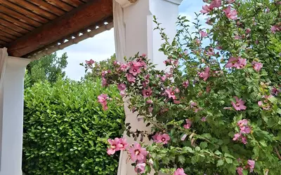 Manosque (04100)
