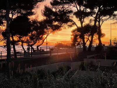 Vente maison 4 pièces Bandol (83150)