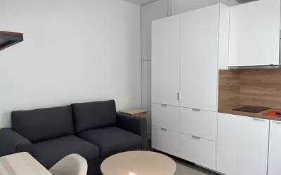 Maisons-Alfort (94700)