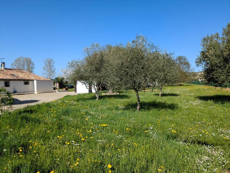 Moissac (82200)