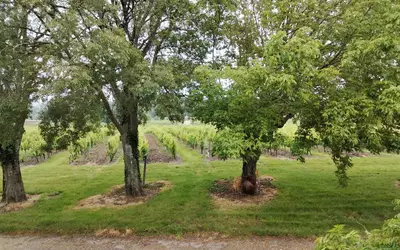 Monbazillac (24240)