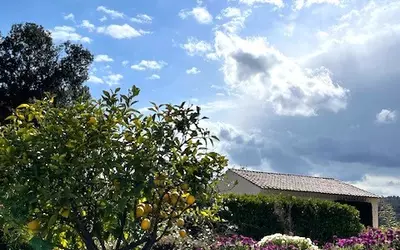 Biot