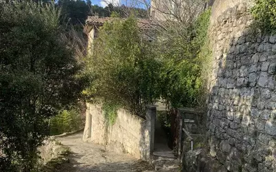 Vernon