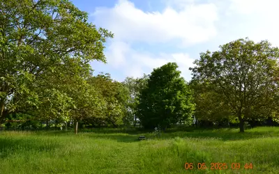 Château-Landon