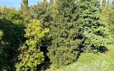 Le Raincy (93340)