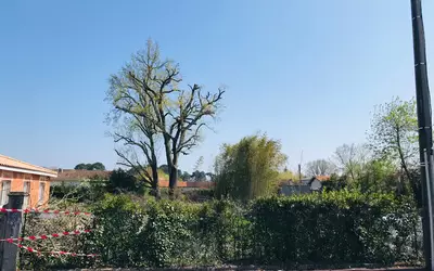 Pessac (33600)