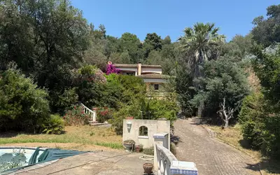 Pégomas (06580)