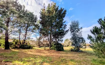 Sainte-Eulalie-En-Born (40200)