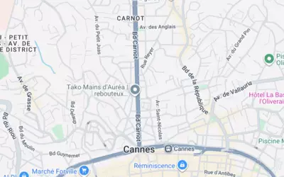 Le Cannet (06110)