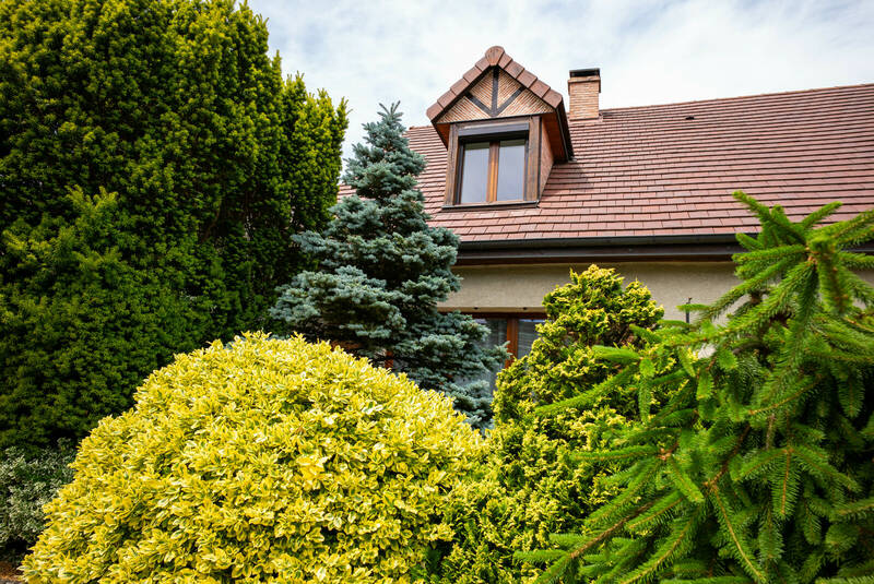 Saint-Michel-Sur-Orge (91240)