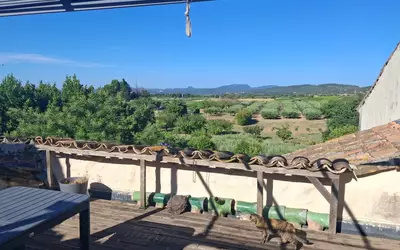 Montpeyroux