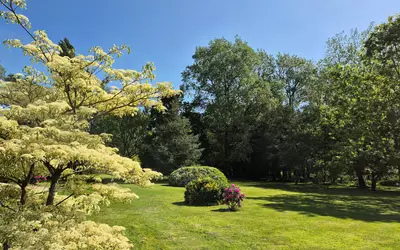 Landivisiau (29400)