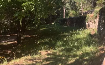 Luri (20228)