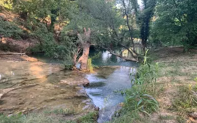 Salernes