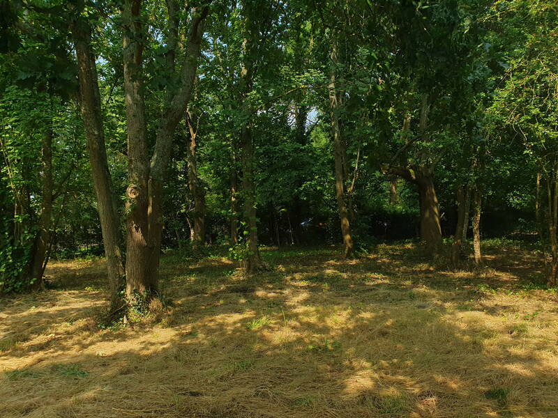 Bazoches-Sur-Guyonne (78490)