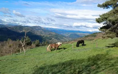 Nonières (07160)