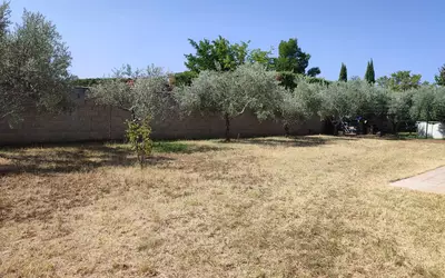 Mazan (84380)