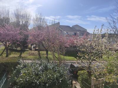 Vente maison 5 pièces Saint-Germain-en-Laye (78100)