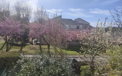 Avec 30 M2 Terrasse