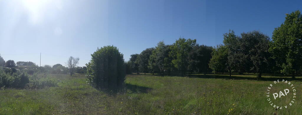 Vente terrain 4.183 m² Cozes (17120)